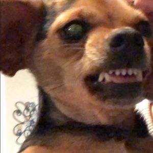 Meet your Posher, Kaylee